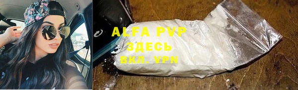 мескалин Богданович