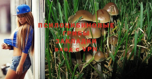 Альфа ПВП Бородино