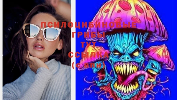 мескалин Богданович
