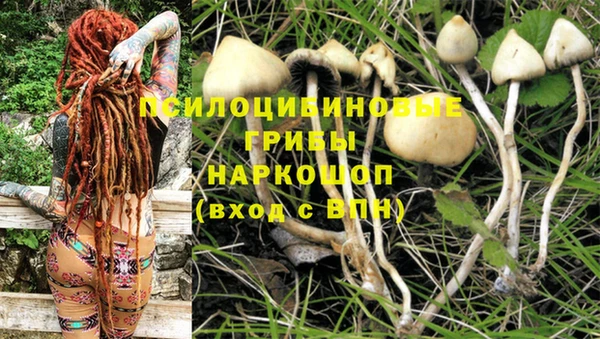 ГАЛЛЮЦИНОГЕННЫЕ ГРИБЫ Богородск